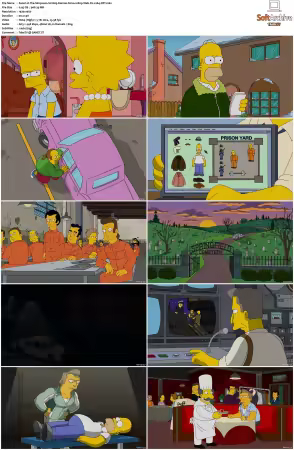 The Simpsons S22 1080p Web-DL x264-OFT