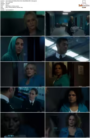 Wentworth S01-S09 1080p WEB h265-d3g
