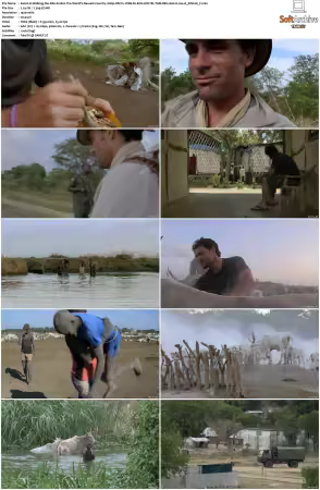 Walking the Nile S01 1080p DSCV+ WEB-DL ENG-HIN-TEL-TAM-BEN AAC H264-NOGRP