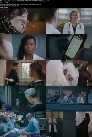 Greys Anatomy S22E12 1080p AMZN WEB-DL DDP 5 1 x265-Kingsman