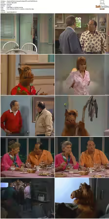 Alf S01 German DL 1080p MiXED x264-TVNATiON