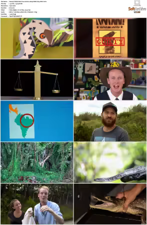 Weird But True S01 S03 1080p WEB H264-S