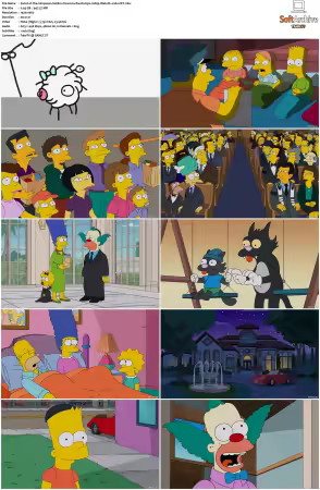 The Simpsons S26 1080p Web-DL x264-OFT