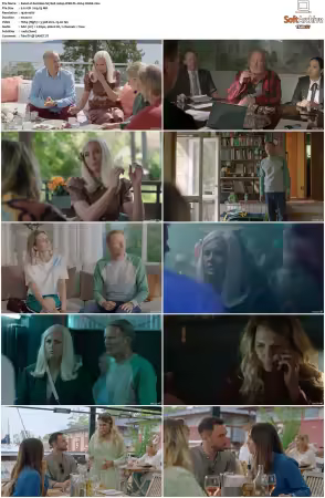 Solsidan S01-S09 1080p WEB-DL H264 x265-WoKE