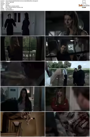 Banshee S01 S04 1080p WEBRip DDP5.1 H265-d3g