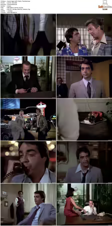 Vegas 1978 S01-S03 480p DVDRip HEVC AAC 2.0 DreadParrot