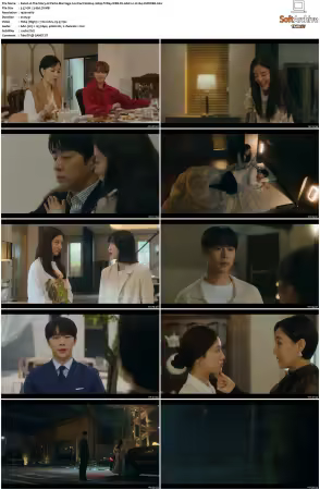 The Story of Parks Marriage Contract S01 1080p friDay WEB-DL AAC2.0 H264-CHDWEB