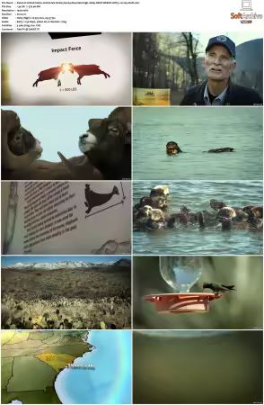 United States of Animals S01 1080p DSNP WEB-DL DDP5.1 H264-Sloth
