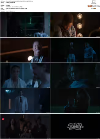 Raising Dion S01 S02 1080p WEBRip x265-RARBG