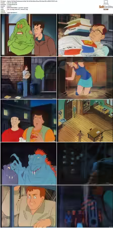 The Real Ghostbusters S01-S07 DVD REMUX-MIXED