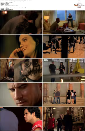 Prison Break S01-S05 German AC3 DL 1080p BDRip x265-FuN