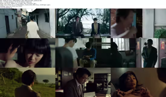 Hotel Iris 2021 1080p BluRay x265 10bit DTS-WiKi