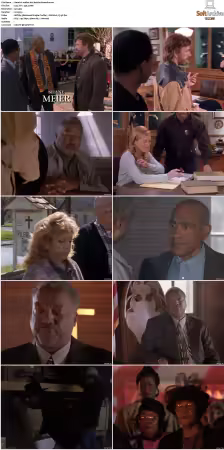 Walker Texas Ranger S01-S09 DVDRip XviD-Mixed