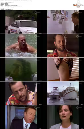 Water Rats S01-S06 WEB-DL AAC2.0 H264-BTN