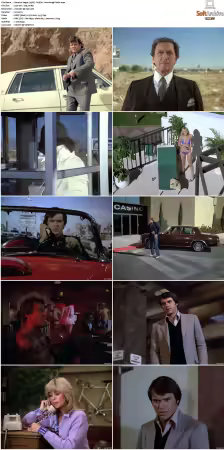Vegas 1978 S01 S03 480p DVDRip HEVC AAC 2 0 DreadParrot