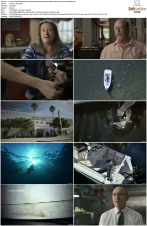 Unsolved Mysteries 2020 S03 1080p NF WEB-DL DDP5 1 Atmos H264-ShiNobi