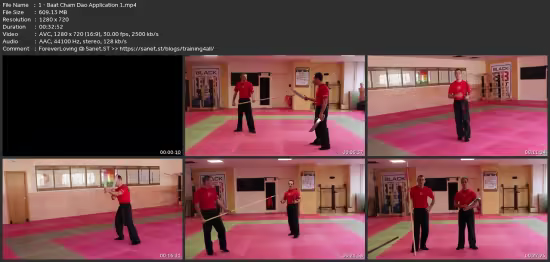 WingTsun Technician Level 5