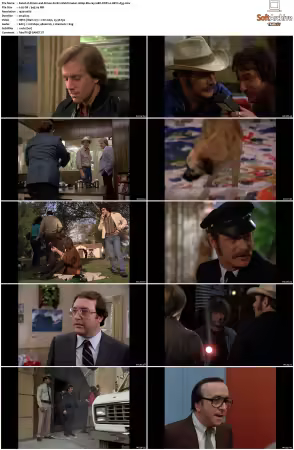 Simon and Simon S01-S08 1080p Blu-ray 10Bit DDP2.0 HEVC-d3g