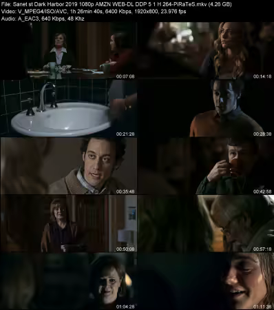 Dark Harbor 2019 1080p AMZN WEB-DL DDP 5.1 H264-PiRaTeS