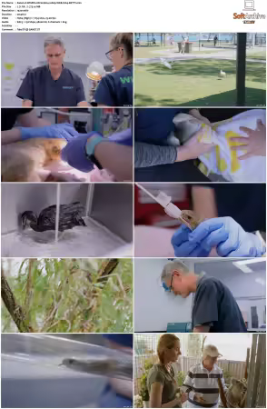 Wildlife ER S01S02 1080p WEB h264-BETTY