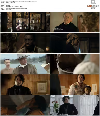 Washington Black S01 1080p WEBRip x265-KONTRAST