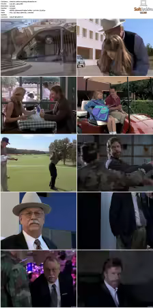 Walker Texas Ranger S01-S09 DVDRip XviD-Mixed