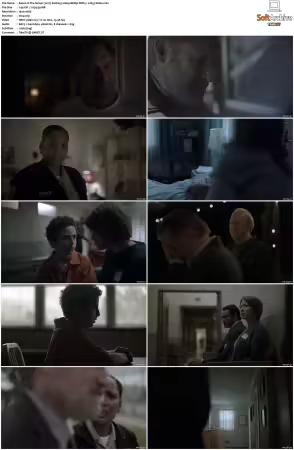 The Sinner 2017 S01 S04 1080p BDRip DDP5.1 x265-Vialle