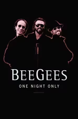 Bee Gees One Night Only 1998 WEBRip 1080p x264-Lullozzo