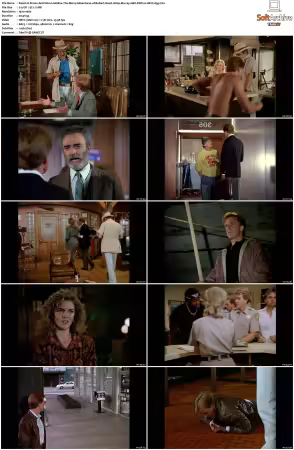 Simon and Simon S01-S08 1080p Blu-ray 10Bit DDP2.0 HEVC-d3g