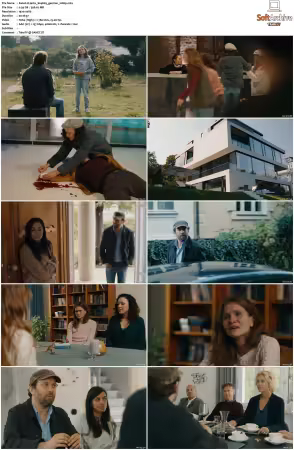 Jerks S01 S05 German 1080p WEB H264-Mixed