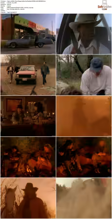 Walker Texas Ranger S01-S09 DVDRip XviD-Mixed