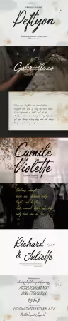 Peftyon - Elegant Signature Script Font