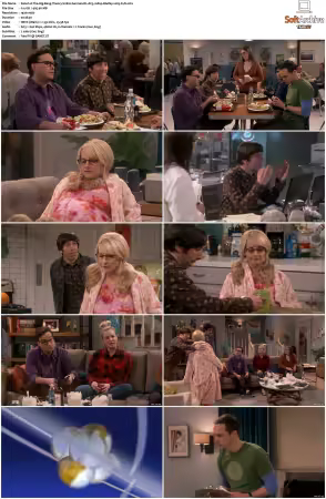 The Big Bang Theory S01-S12 German DL AC3 1080p BluRay x265-FuN