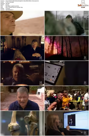 Weird Or What S01 S03 1080p WEB-DL DDP5.1 H264-squalor