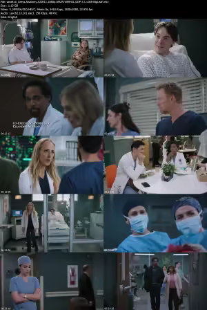 Greys Anatomy S22E11 1080p AMZN WEB-DL DDP 5 1 x265-BigLeaf
