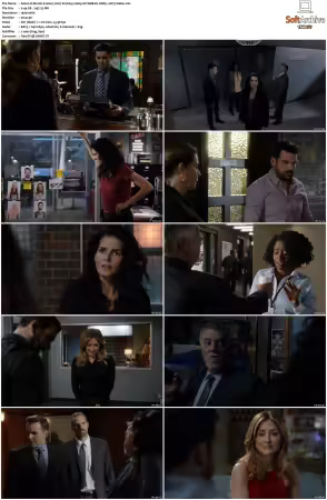 Rizzoli and Isles 2010 S01-S07 1080p NF WEB-DL DDP5.1 AV1-Vialle