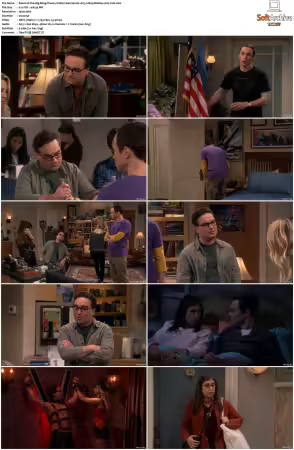 The Big Bang Theory S01-S12 German DL AC3 1080p BluRay x265-FuN