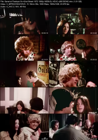 Fleshpot On 42nd Street 1972 1080p WEB-DL HEVC x265 BONE