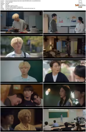 At a Distance Spring is Green S01 1080p VIKI WEB-DL AAC2 0 H264-DUSKLiGHT