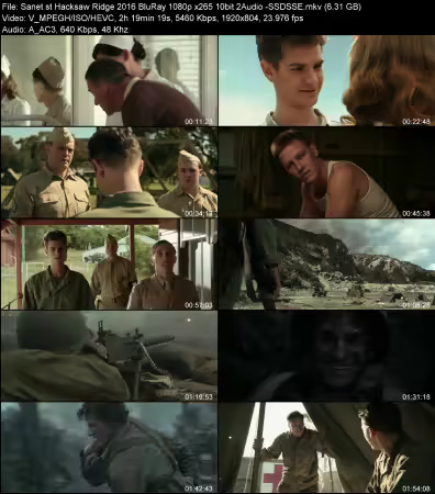 Hacksaw Ridge 2016 BluRay 1080p x265 10bit 2Audio -SSDSSE
