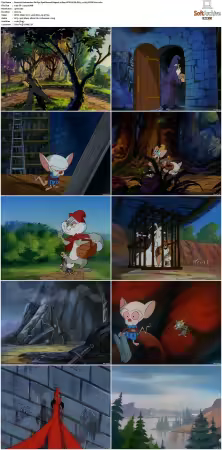 Animaniacs 1993 S01-S05 1080p UPSCALED DD 5.1 x265-EDGE2020