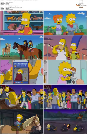 The Simpsons S31 1080p Web-DL x264-OFT