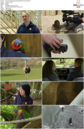 Animal Park S25 1080p iP WEB-DL AAC2.0 H264-AEK