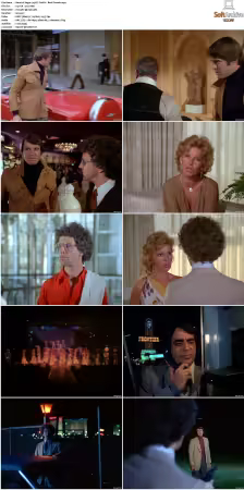 Vegas 1978 S01-S03 480p DVDRip HEVC AAC 2.0 DreadParrot