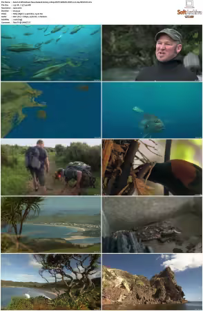 Wild About New Zealand S01 1080p MGTV WEB-DL DDP2.0 H264-DEVOUR