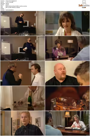 Hjalp S01 S03 SWEDiSH DVDRip XviD-SCC