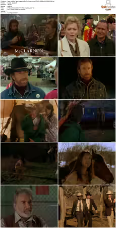 Walker Texas Ranger S01-S09 DVDRip XviD-Mixed