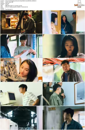 Our Dazzling Days S01 2026 2160p WEB-DL H 265 HDR DDP5.1-HHWEB