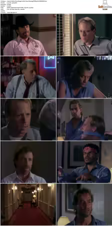 Walker Texas Ranger S01-S09 DVDRip XviD-Mixed
