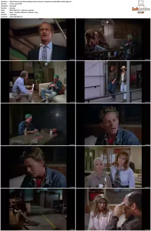 Simon and Simon S01-S08 1080p Blu-ray 10Bit DDP2.0 HEVC-d3g